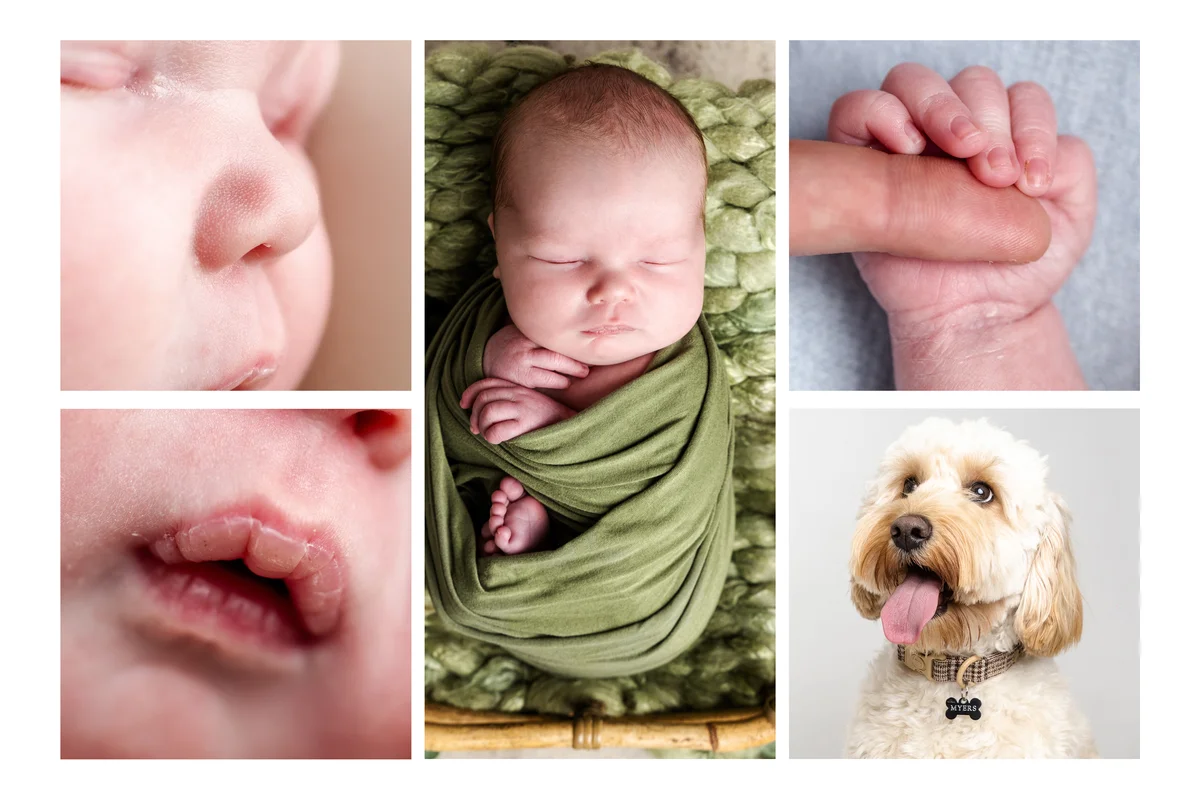 Newborn detail collage photos Hartlepool - baby features close-ups