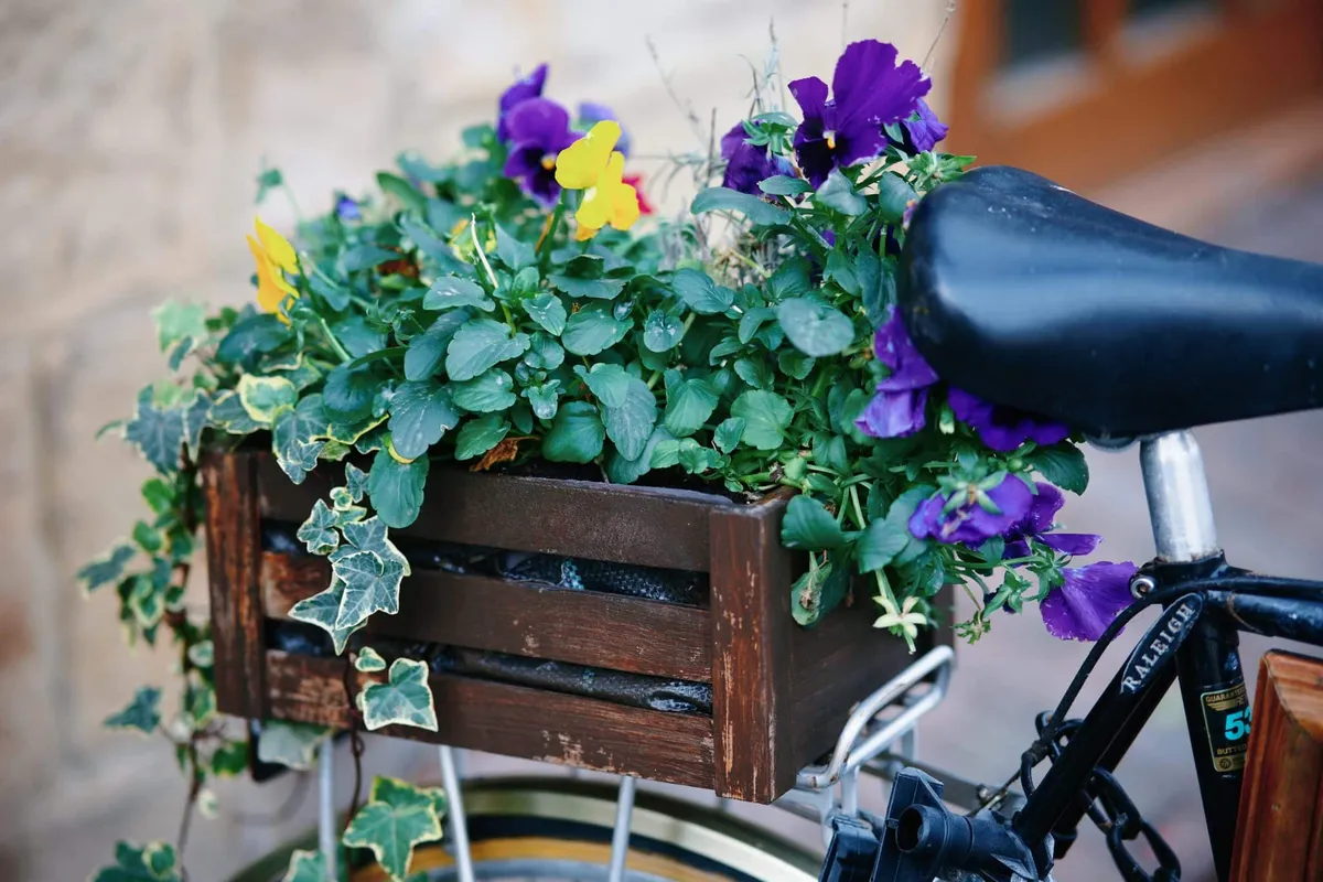 South Causey Inn wedding - rustic countryside wedding venue in County Durham